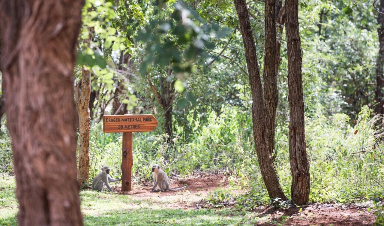 Kingly Bush Villa Phalaborwa Luaran gambar